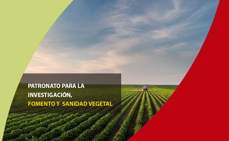 Patronato para la Investigación, Fomento y Sanidad Vegetal